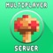 Setup Multiplayer Ser...