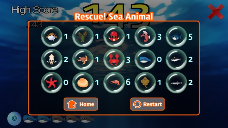 Rescue Sea Animal