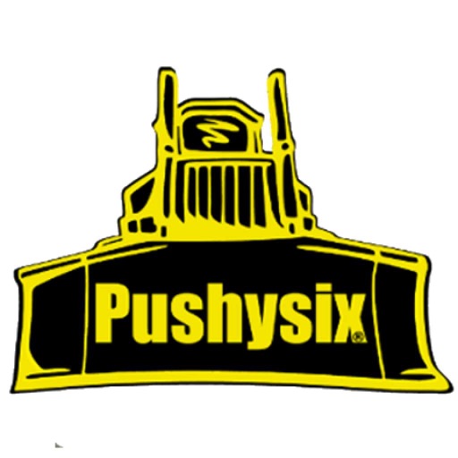 Pushysix icon