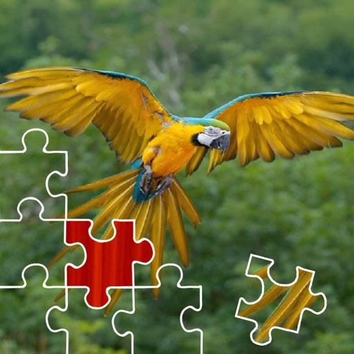 Parrots Jigsaw Puzzles icon