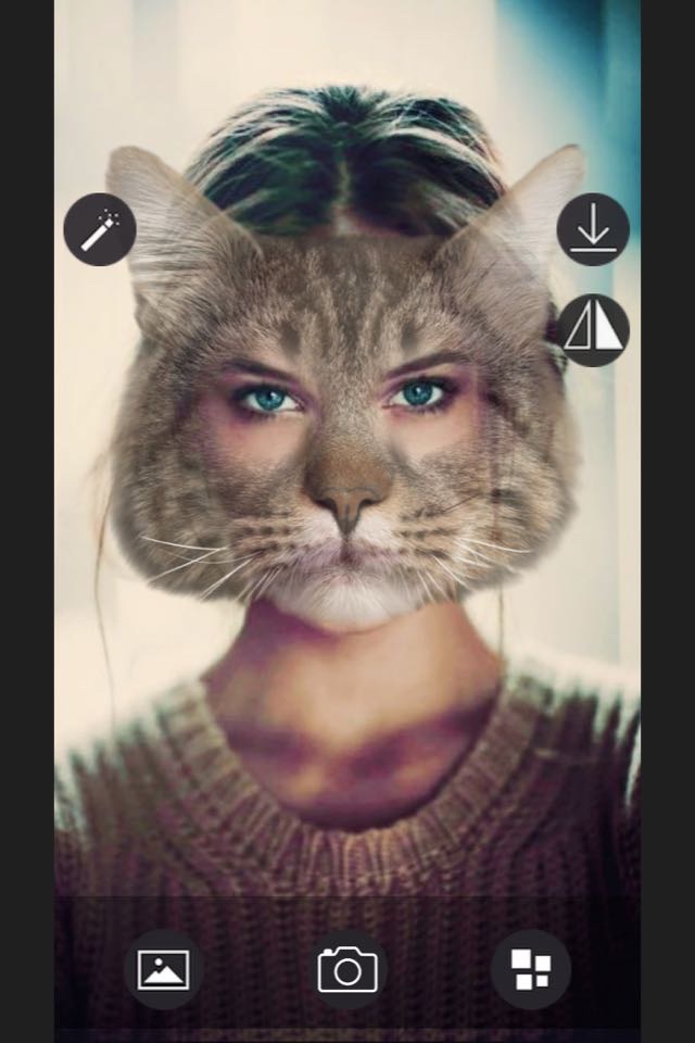 Animal Face - Selfie Editor & Stickers for Pictures screenshot 3