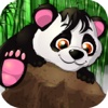 Bamboo Clash Fighter of Panda Bloom Survival Game