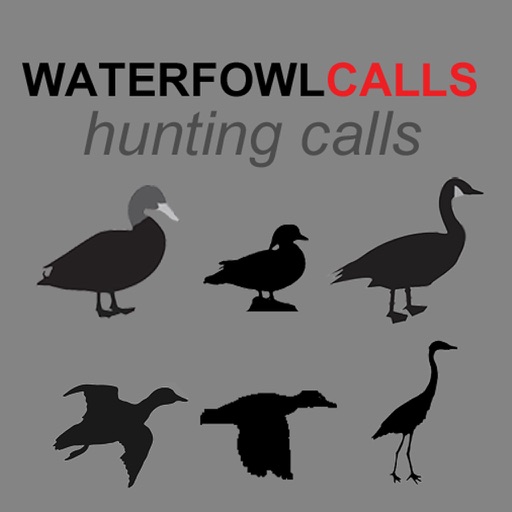 Waterfowl Hunting Calls - The Ultimate Waterfowl Hunting Calls App For Ducks, Geese & Sandhill Cranes & BLUETOOTH COMPATIBLE Icon