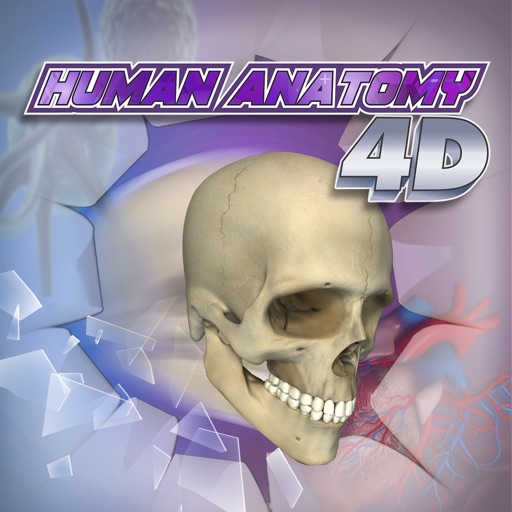 PlayAR Human Anatomy Chart 4D icon
