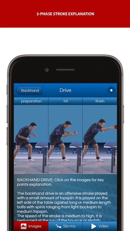 Table Tennis Strokes