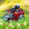 Moto Race - All Colorful Skins for Play Online