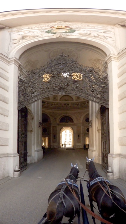 VR Virtual Reality Through Vienna in a Horse-Drawn Carriage - Fiaker Part 2