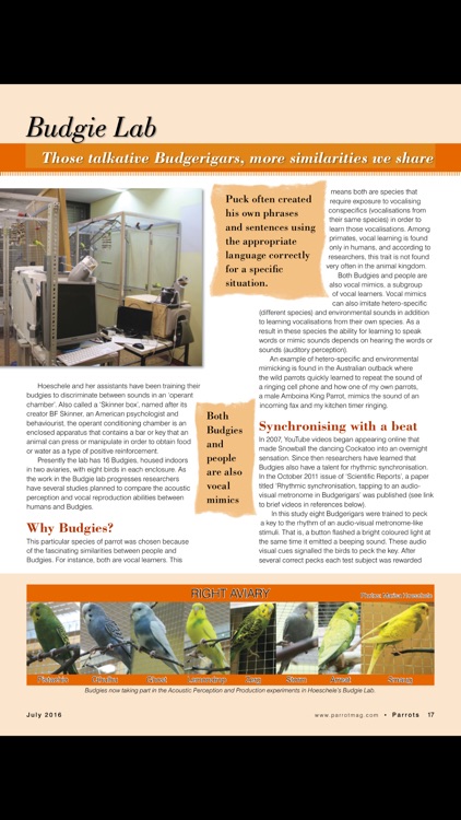 Parrots magazine screenshot-4