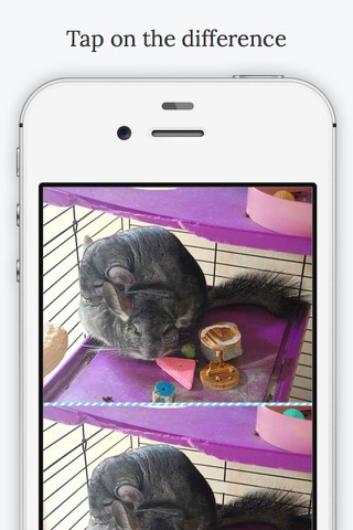 Find the Difference in Chinchilla screenshot 3