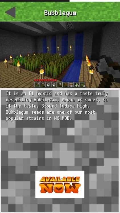 Weed Mod for Minecraft Pc - Full Installation and Preview Guidance