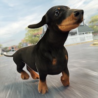 おもしろ 動物 ペット 犬 育成 物語 げーむ ゲージ | 楽しい 3D ゲーム 人気 無料