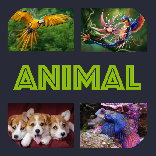 Pic Puzzle - Animal