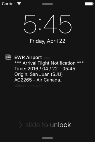 NY Newark Liberty Airport(EWR) Flight Info - náhled