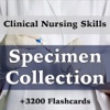Nursing Specimen Collection/3200 Flashcards, Terms, Exam Prep & Case Files