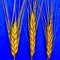 iFiber is one of 10 iNutrient apps based on the USDA National Nutrient Database