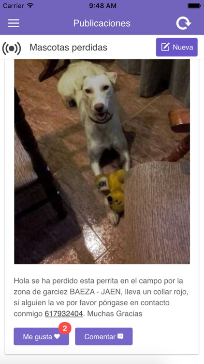 Petsbook.es