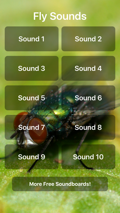 How to cancel & delete Fly Sounds from iphone & ipad 1