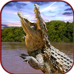 Crocodile Attack Simulator