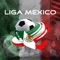 Liga Mexico Predictor is the perfect companion for the Mexican football championship