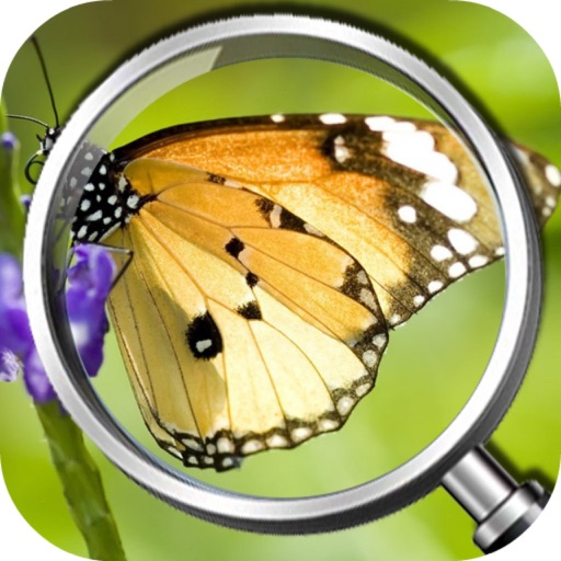 Butterfly Cage Escape - Can You Escape 2015/Flappy Fall Icon