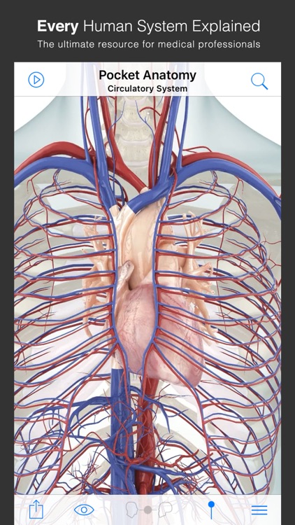 Pocket Anatomy - Interactive 3D Human Anatomy and Physiology.