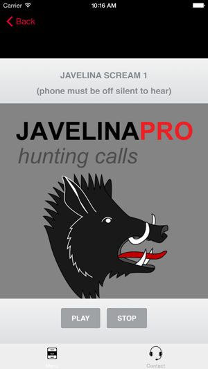 REAL Javelina Calls & Javelina Sounds to