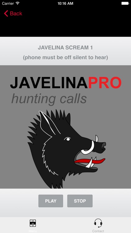 REAL Javelina Calls & Javelina Sounds to use as Hunting Calls screenshot-0