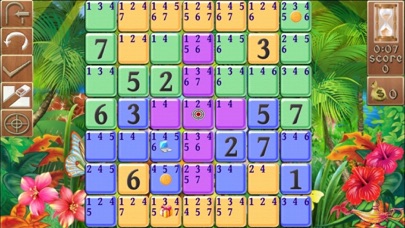 ss1