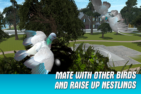 City Pigeon Simulator 3D Full screenshot 4
