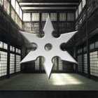 Shuriken Dojo