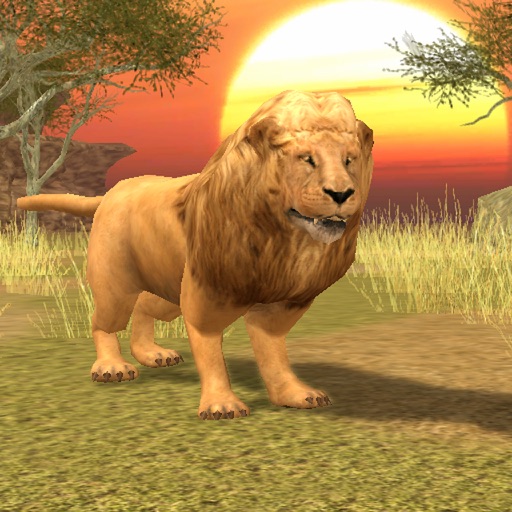 Wild Lion Simulator 3D Icon