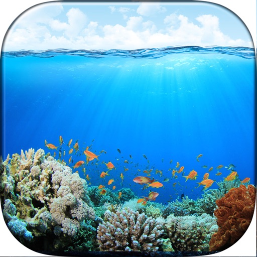 Deep Blue Sea Wallpaper.s – Beautiful Underwater HD Background.s and Lock Screen Pictures icon