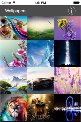 Wallpapers Collection HD Plus screenshot 4
