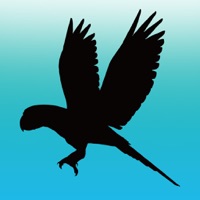 블루래빗새 - Augmented Reality PC 용