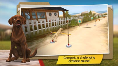 DogHotel - My hotel for labradors, terriers and bulldogs Screenshot 5