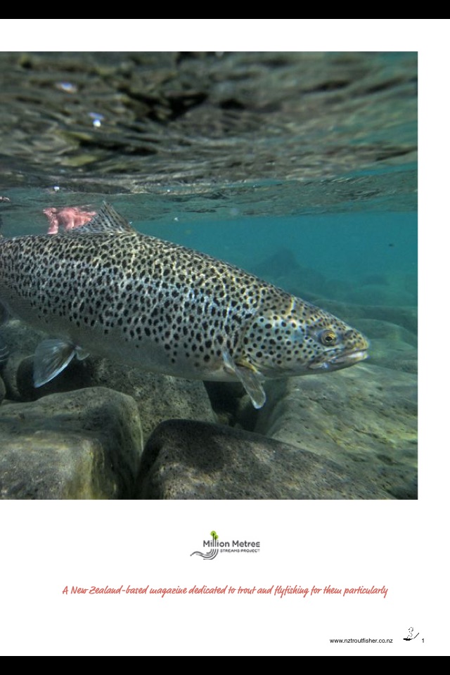 NZ Trout Fisher screenshot 3