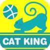 打砖块 - 挑战极限，天天打砖块，cat king 系列游戏。