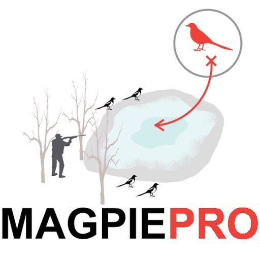 Magpie Hunting Strategy Plan Your Magpie Hunting Trip icon