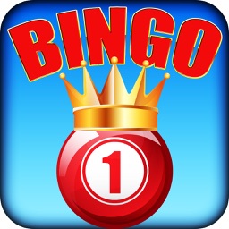 Season Of Bingo - Endless Fun