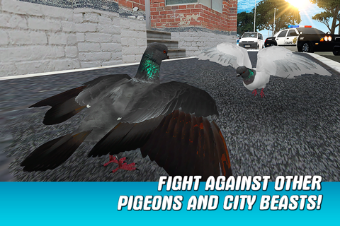 City Pigeon Simulator 3D Full screenshot 2