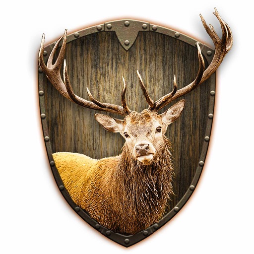 Head Shot: Deer Hunt icon