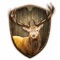 Head Shot: Deer Hunt takes the most popular and realistic hunting game to extreme wilderness environments in search of the biggest, most prized game around