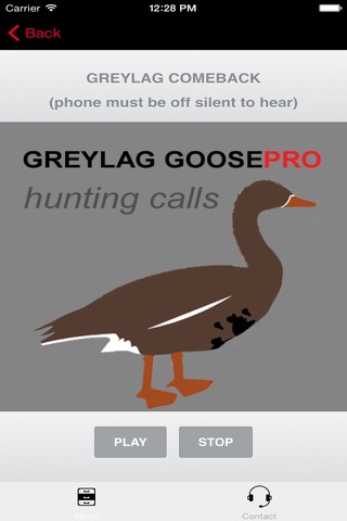 REAL Greylag Goose Hunting Calls - Greylag Goose CALLS & Greylag Goose Sounds! screenshot 2