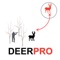 Whitetail Deer Hunting Strategy Deer Hunter Plan