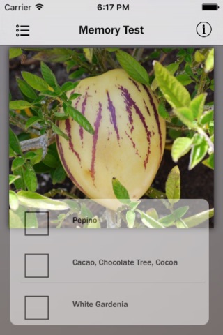 Fruits Database screenshot 4