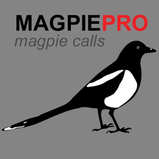 REAL Magpie Calls for Hunting & Magpie Sounds! - BLUETOOTH COMPATIBLE Icon