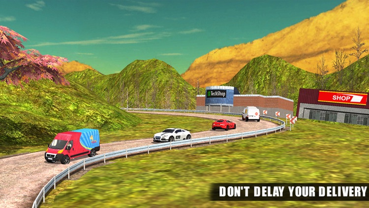 Pizza Delivery Van Simulator - City & Offroad Driving Adventure screenshot-4