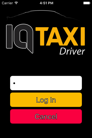 IQ Taxi Driver - náhled