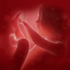Baby ™ Scope - Listen to fetal heartbeat sound
