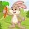 Icon Jumping Bunny 2D - Dodge The Enemy, Tap to Hop and Bounce To Collect Carrots